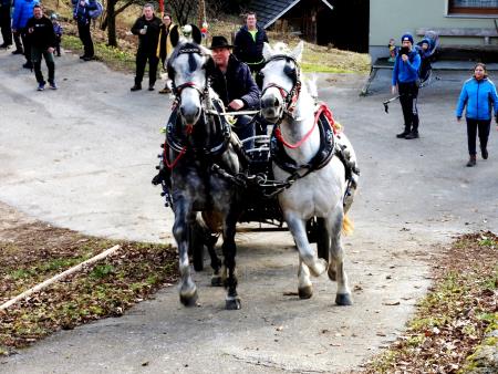 Darko Kepic se je  konjsko dvovprego pripeljal do prostora za blagoslovitev